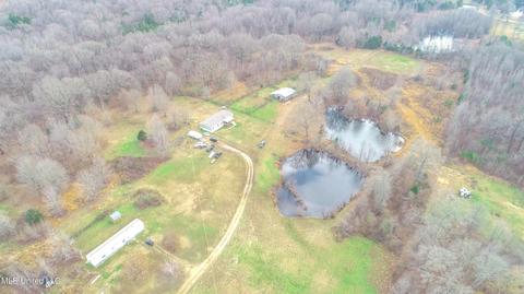 876 Mays Rd, Coldwater, MS 38618 photo 2
