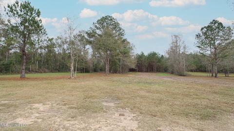 507 E Wire Rd, Perkinston, MS 39573 photo 19
