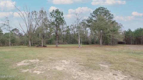 507 E Wire Rd, Perkinston, MS 39573 photo 21