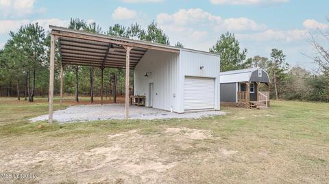 507 E Wire Rd, Perkinston, MS 39573 photo 14