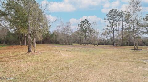 507 E Wire Rd, Perkinston, MS 39573 photo 13