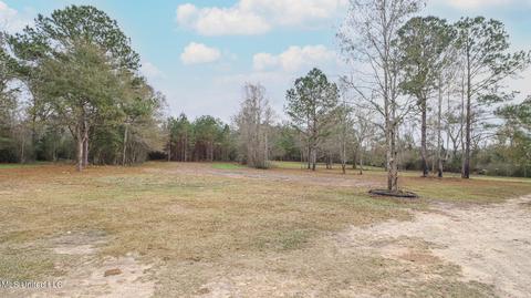 507 E Wire Rd, Perkinston, MS 39573 photo 20