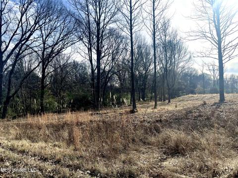 140 Luke Ln, Coldwater, MS 38618 photo 8