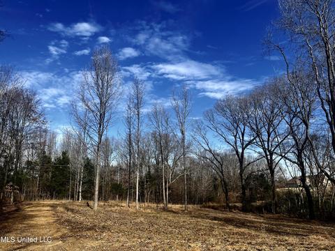 140 Luke Ln, Coldwater, MS 38618 photo 1