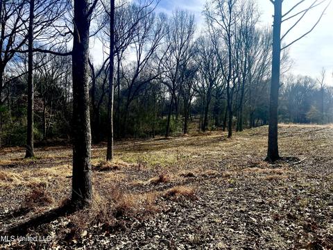 140 Luke Ln, Coldwater, MS 38618 photo 3