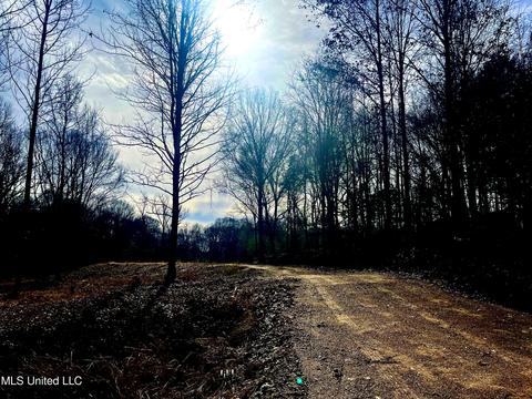 140 Luke Ln, Coldwater, MS 38618 photo 7