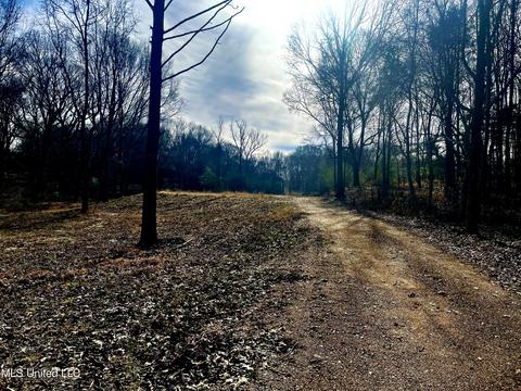 140 Luke Ln, Coldwater, MS 38618 photo 2