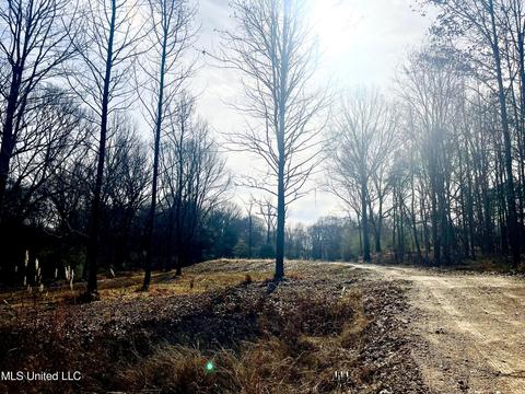 140 Luke Ln, Coldwater, MS 38618 photo 6