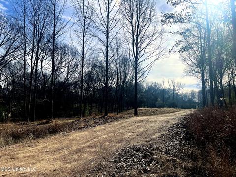 140 Luke Ln, Coldwater, MS 38618 photo 10