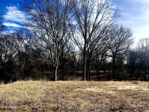 140 Luke Ln, Coldwater, MS 38618 photo 4