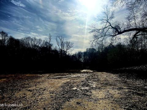 140 Luke Ln, Coldwater, MS 38618 photo 5