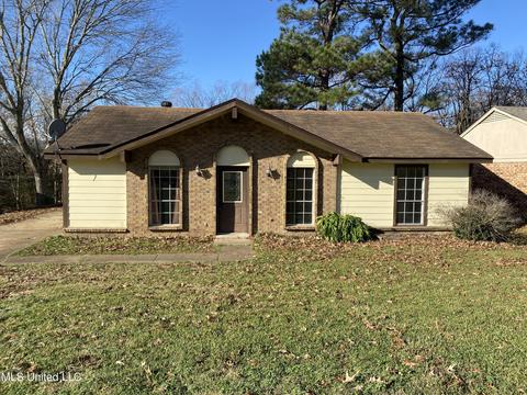3033 Salina Cv, Hernando, MS 38632 photo 1