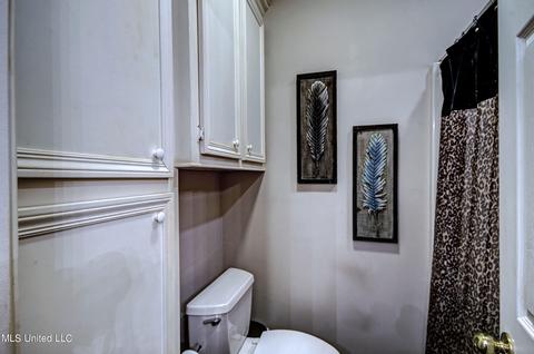 204 Southhampton Pl, Brandon, MS 39042 photo 35