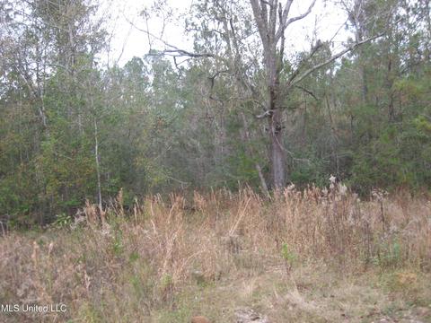 23 Saucier Lizana Rd, Saucier, MS 39574 photo 3