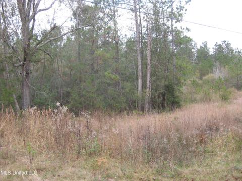23 Saucier Lizana Rd, Saucier, MS 39574 photo 4