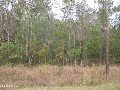 23 Saucier Lizana Rd, Saucier, MS 39574 photo 2