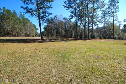 160 Timberidge Rd, Lucedale, MS 39452 photo 55