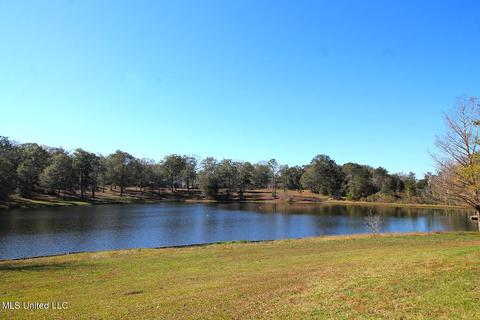 160 Timberidge Rd, Lucedale, MS 39452 photo 52