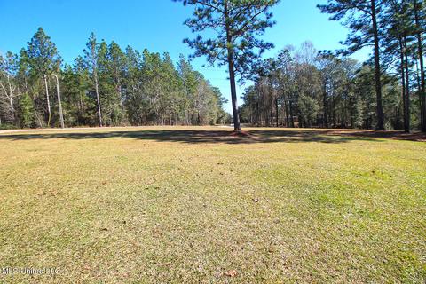 160 Timberidge Rd, Lucedale, MS 39452 photo 56
