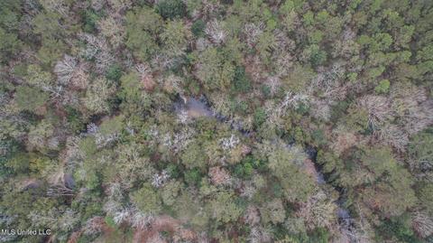 23320 River Ridge Dr, Saucier, MS 39574 photo 20