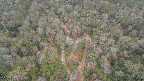 23320 River Ridge Dr, Saucier, MS 39574 photo 18
