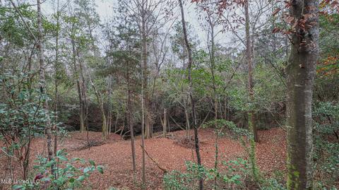 23320 River Ridge Dr, Saucier, MS 39574 photo 19