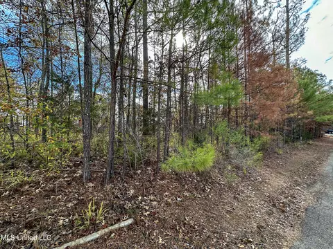 Ridge Street, Madison, MS 39110 photo 17