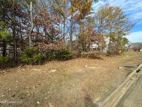 Ridge Street, Madison, MS 39110 photo 5
