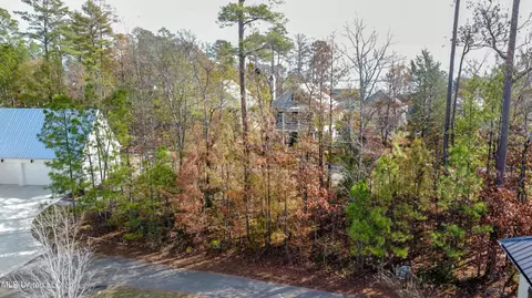 Ridge Street, Madison, MS 39110 photo 19