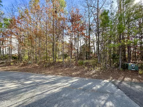 Ridge Street, Madison, MS 39110 photo 3