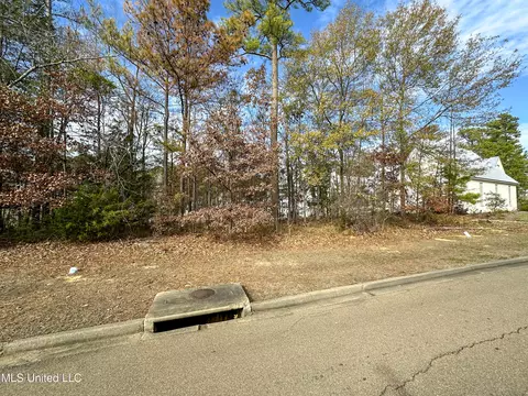 Ridge Street, Madison, MS 39110 photo 9