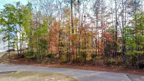 Ridge Street, Madison, MS 39110 photo 4