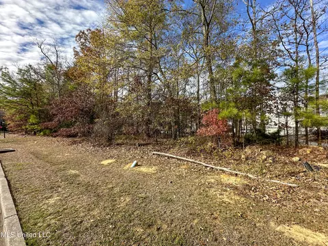 Ridge Street, Madison, MS 39110 photo 8