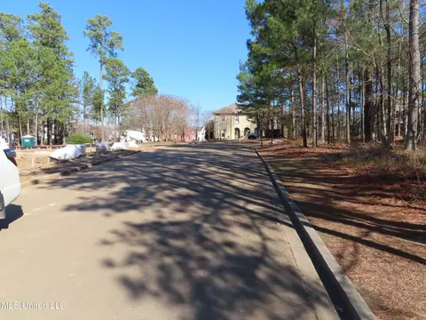 Ridge Street, Madison, MS 39110 photo 7