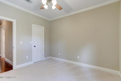 104 Brierfield Dr, Madison, MS 39110 photo 25