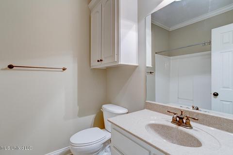 104 Brierfield Dr, Madison, MS 39110 photo 24