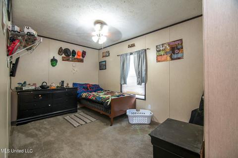 53 Barbara Hills Rd, Brooklyn, MS 39425 photo 15