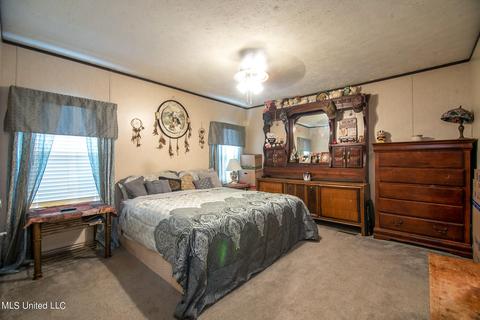 53 Barbara Hills Rd, Brooklyn, MS 39425 photo 6
