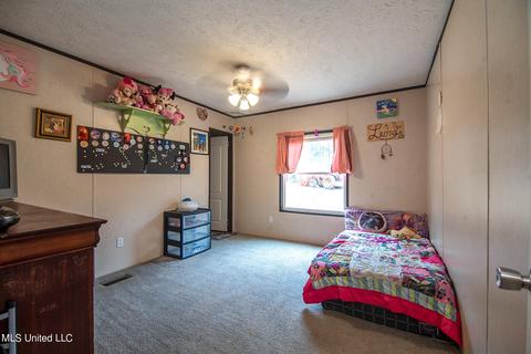 53 Barbara Hills Rd, Brooklyn, MS 39425 photo 13