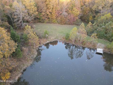31 Sam Ware Rd, Sarah, MS 38665 photo 10