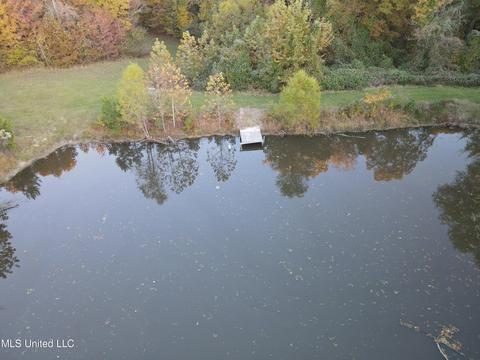 31 Sam Ware Rd, Sarah, MS 38665 photo 11