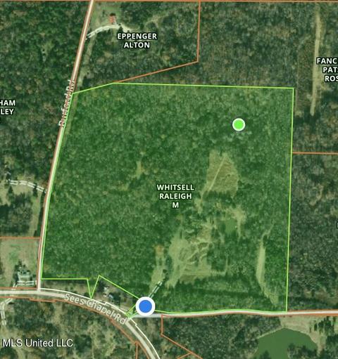 31 Sam Ware Rd, Sarah, MS 38665 photo 14