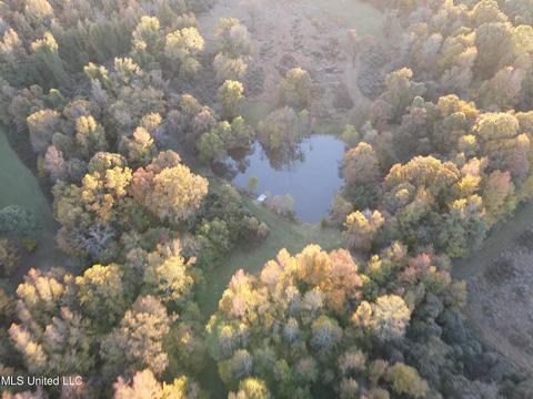 31 Sam Ware Rd, Sarah, MS 38665 photo 5