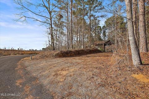110 Old Camp Rd, Brandon, MS 39047 photo 27