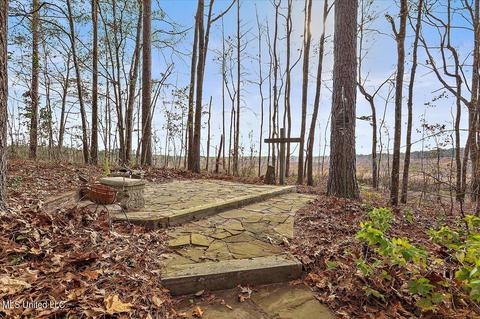 110 Old Camp Rd, Brandon, MS 39047 photo 23