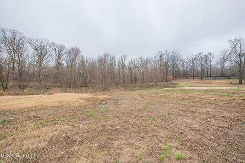 10067 Emerald Forest Dr, Hernando, MS 38632 photo 22