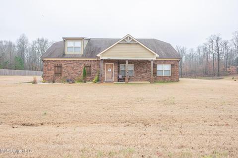 10067 Emerald Forest Dr, Hernando, MS 38632 photo 1