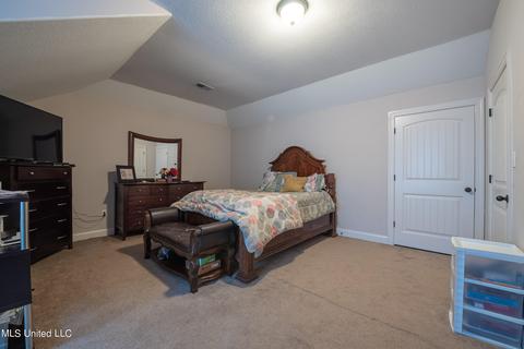 10067 Emerald Forest Dr, Hernando, MS 38632 photo 18