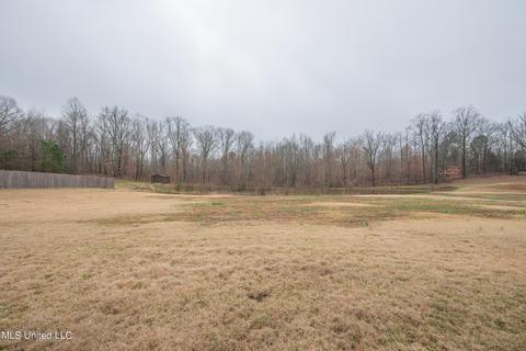 10067 Emerald Forest Dr, Hernando, MS 38632 photo 21