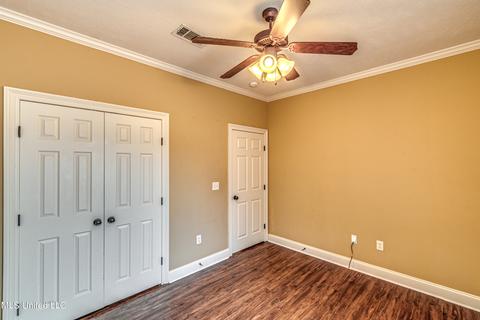 401 Ash Tree Ln, Madison, MS 39110 photo 31